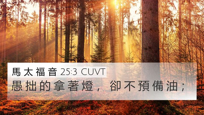 馬 太 福 音 25:3 CUVT Bible Verse Image