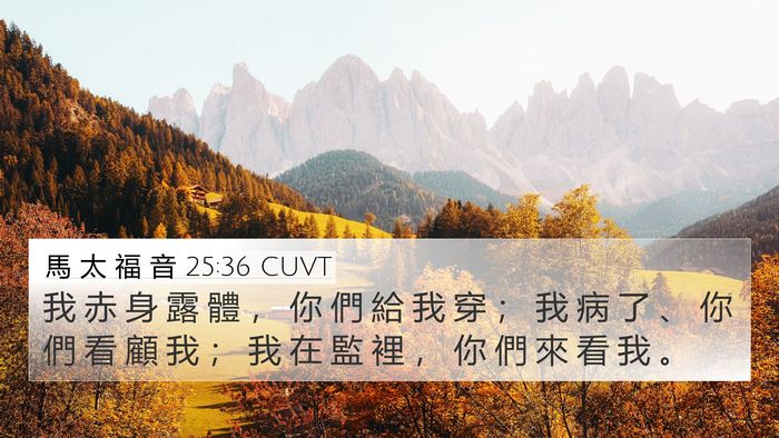 馬 太 福 音 25:36 CUVT Bible Verse Image