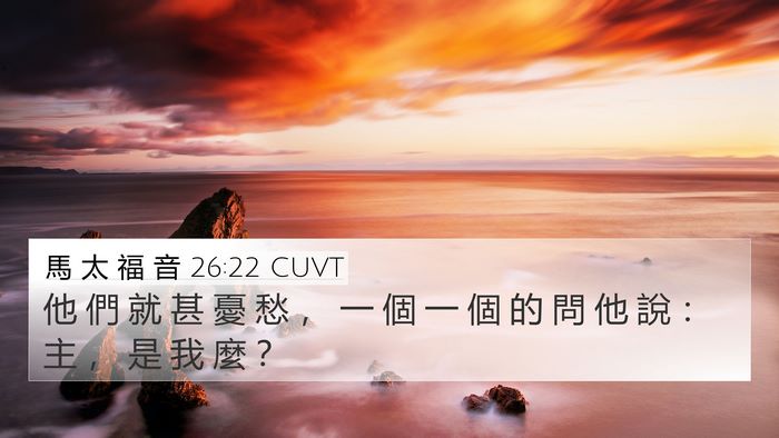 馬 太 福 音 26:22 CUVT 4K Wallpaper - 他 們 就 甚 憂 愁 ， 一 個 一 個 的 - 4K Wallpaper Bible Verse
