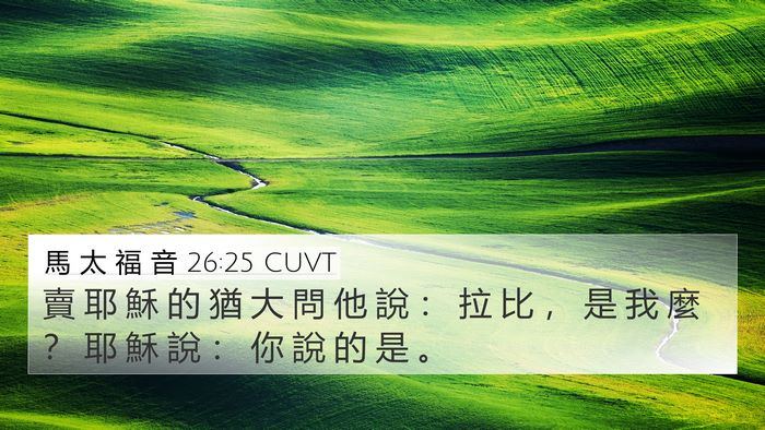 馬 太 福 音 26:25 CUVT Bible Verse Image