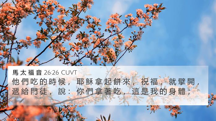 馬 太 福 音 26:26 CUVT Bible Verse Image