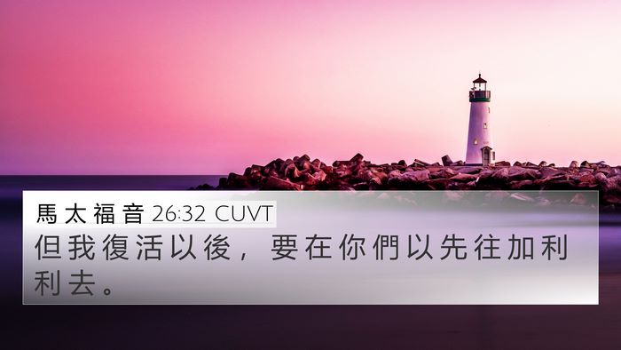 馬 太 福 音 26:32 CUVT Bible Verse Image
