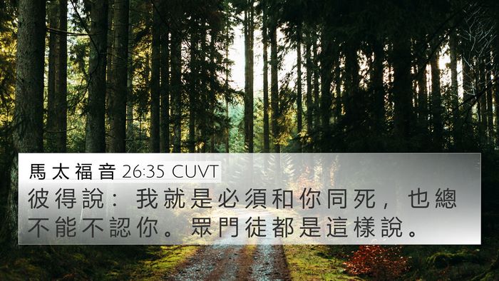 馬 太 福 音 26:35 CUVT Bible Verse Image