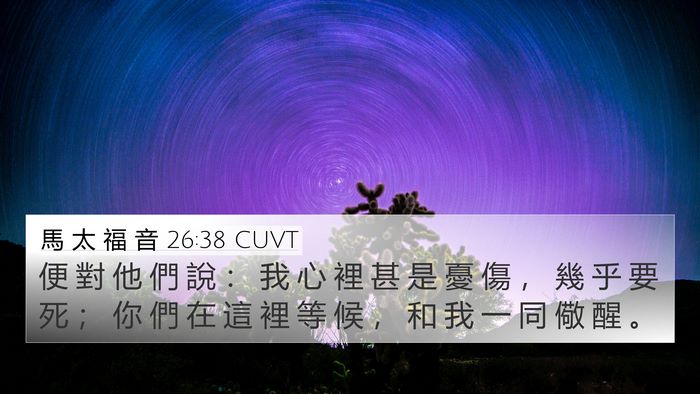 馬 太 福 音 26:38 CUVT Bible Verse Image