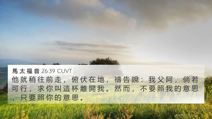 馬 太 福 音 26:39 CUVT Bible Verse Image
