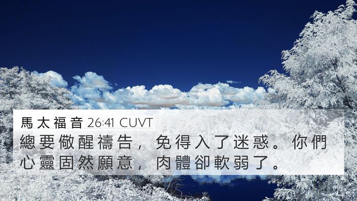 馬 太 福 音 26:41 CUVT Bible Verse Image