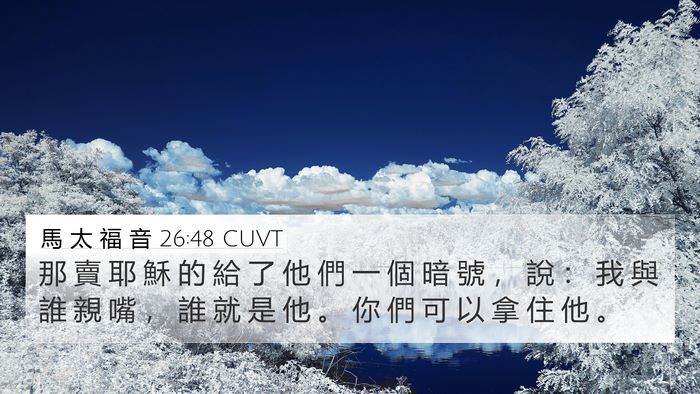 馬 太 福 音 26:48 CUVT Bible Verse Image