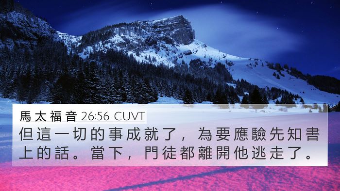 馬 太 福 音 26:56 CUVT Bible Verse Image