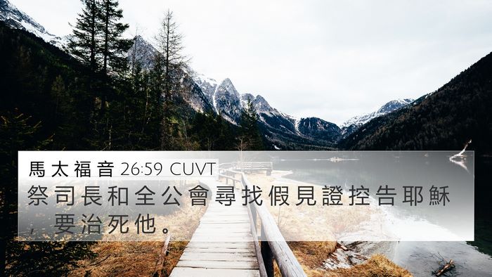 馬 太 福 音 26:59 CUVT Bible Verse Image
