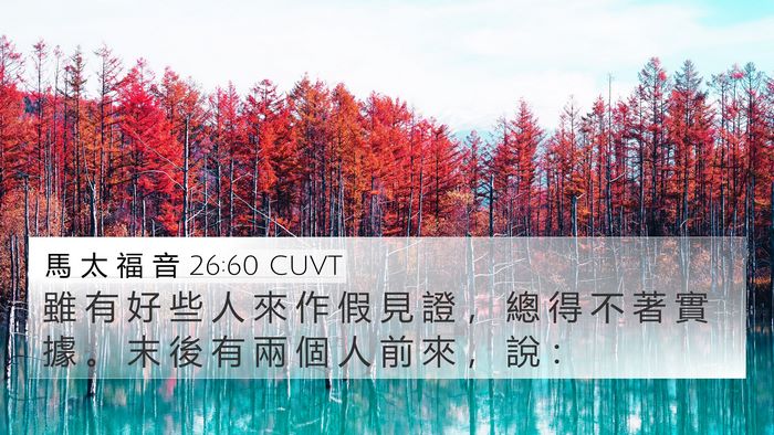 馬 太 福 音 26:60 CUVT Bible Verse Image