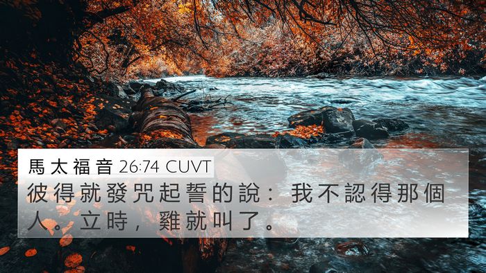 馬 太 福 音 26:74 CUVT 4K Wallpaper - 彼 得 就 發 咒 起 誓 的 說 ： 我 不 - 4K Wallpaper Bible Verse