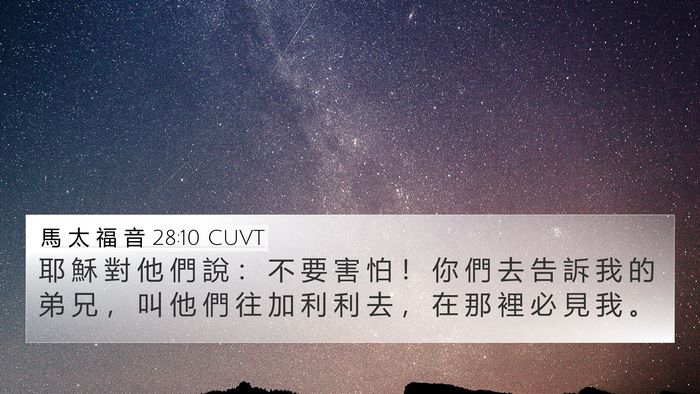 馬 太 福 音 28:10 CUVT Bible Verse Image