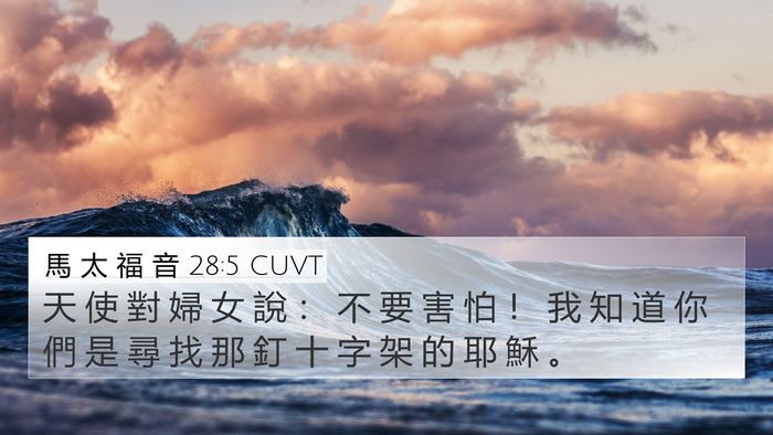 馬 太 福 音 28:5 CUVT Bible Verse Image