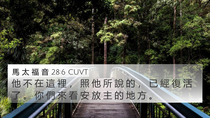 馬 太 福 音 28:6 CUVT Bible Verse Image