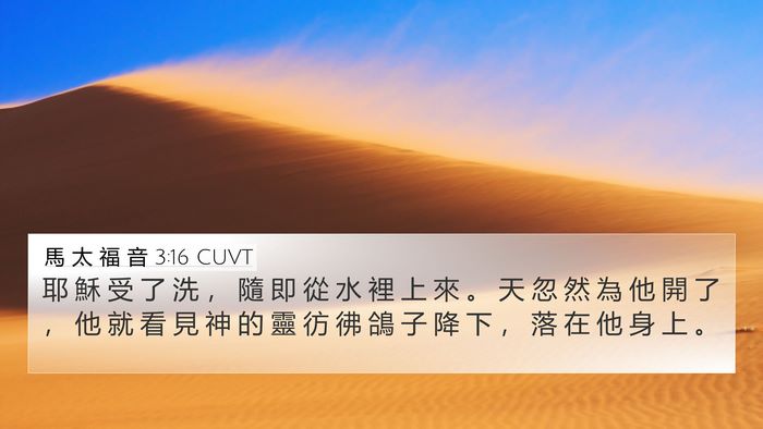 馬 太 福 音 3:16 CUVT Bible Verse Image