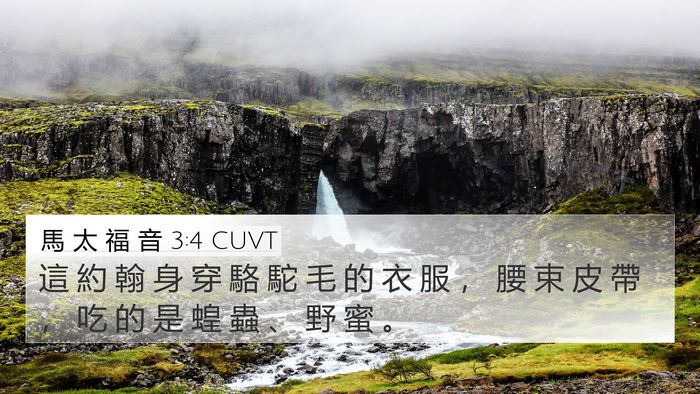 馬 太 福 音 3:4 CUVT Bible Verse Image