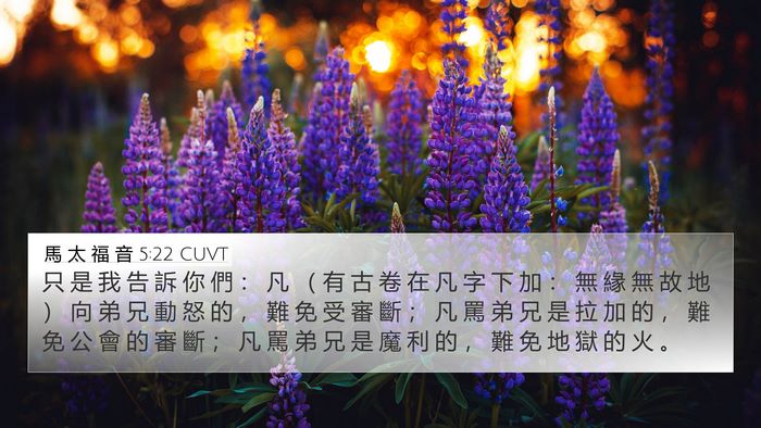 馬 太 福 音 5:22 CUVT Bible Verse Image
