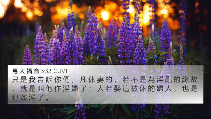 馬 太 福 音 5:32 CUVT 4K Wallpaper - 只 是 我 告 訴 你 們 ， 凡 休 妻 的 - 4K Wallpaper Bible Verse