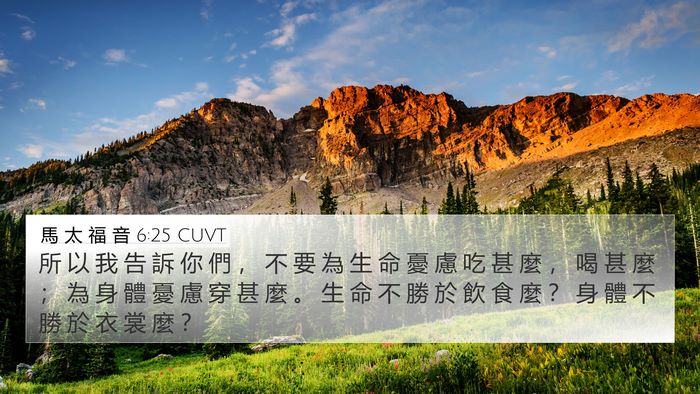 馬 太 福 音 6:25 CUVT Bible Verse Image