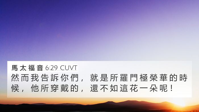 馬 太 福 音 6:29 CUVT Bible Verse Image