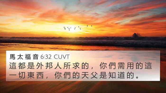 馬 太 福 音 6:32 CUVT Bible Verse Image