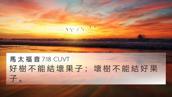 馬 太 福 音 7:18 CUVT 4K Wallpaper - 好 樹 不 能 結 壞 果 子 ； 壞 樹 不 - 4K Wallpaper Bible Verse