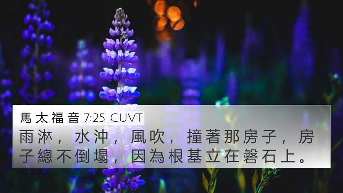 馬 太 福 音 7:25 CUVT 4K Wallpaper - 雨 淋 ， 水 沖 ， 風 吹 ， 撞 著 那 - 4K Wallpaper Bible Verse