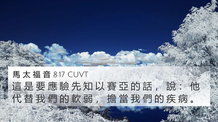 馬 太 福 音 8:17 CUVT Bible Verse Image