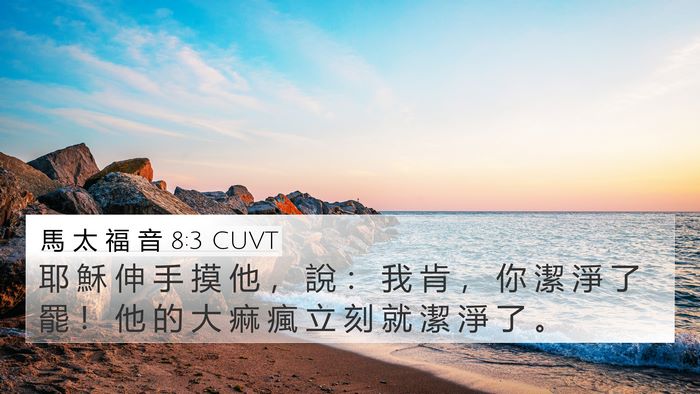 馬 太 福 音 8:3 CUVT Bible Verse Image