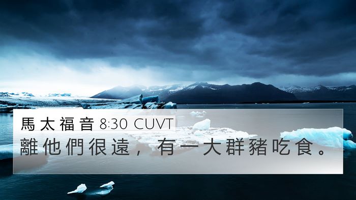 馬 太 福 音 8:30 CUVT Bible Verse Image