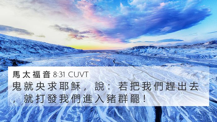 馬 太 福 音 8:31 CUVT Bible Verse Image