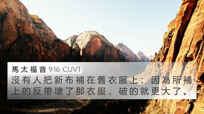 馬 太 福 音 9:16 CUVT Bible Verse Image