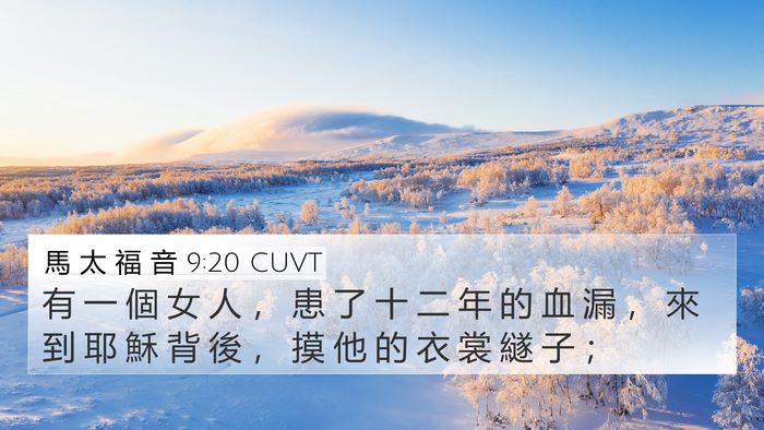 馬 太 福 音 9:20 CUVT Bible Verse Image