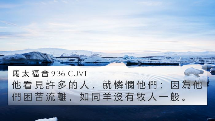 馬 太 福 音 9:36 CUVT Bible Verse Image