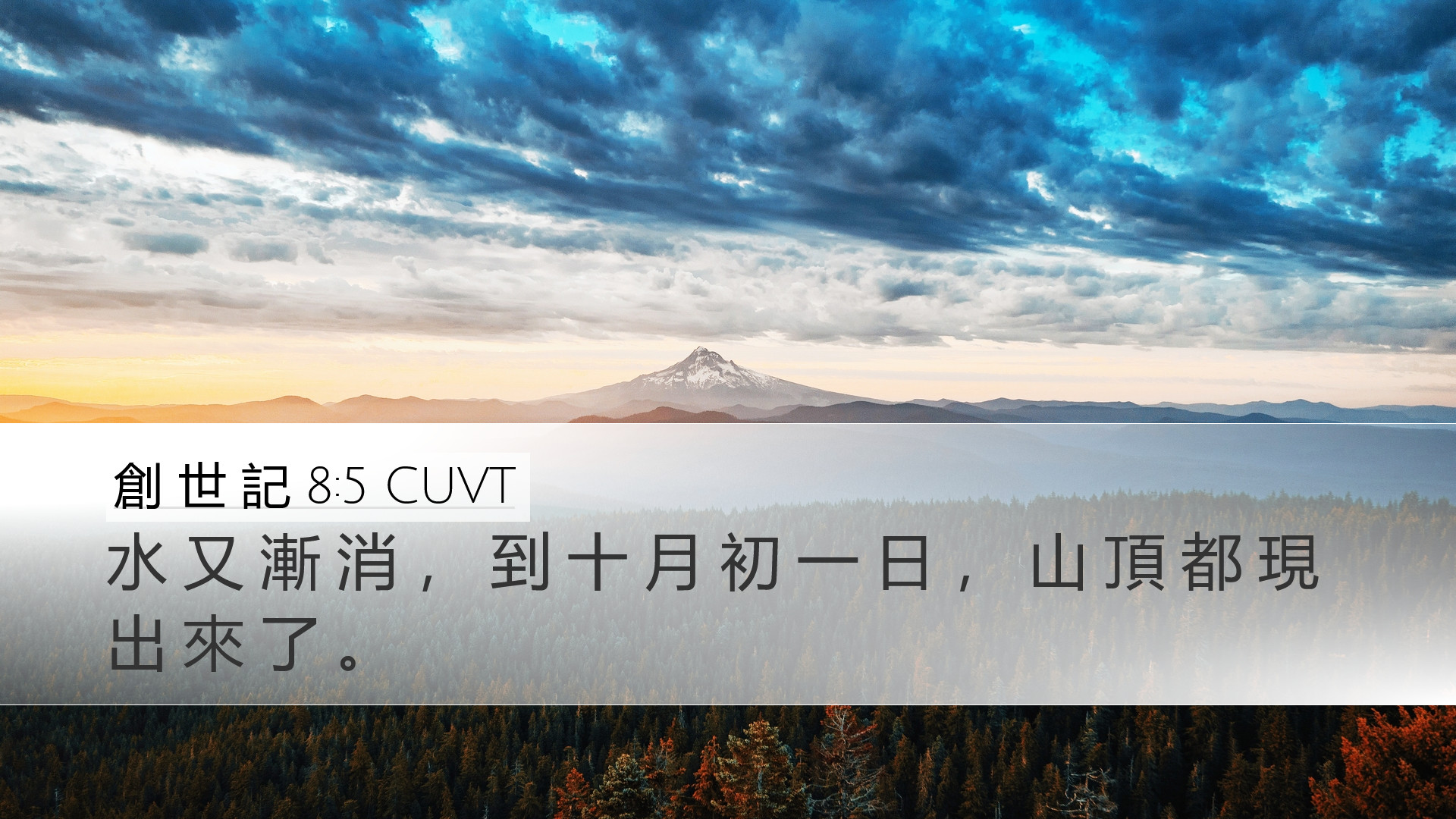 創 世 記 8:5 CUVT Desktop Wallpaper - 水 又 漸 消 , 到 十 月 初 一 日