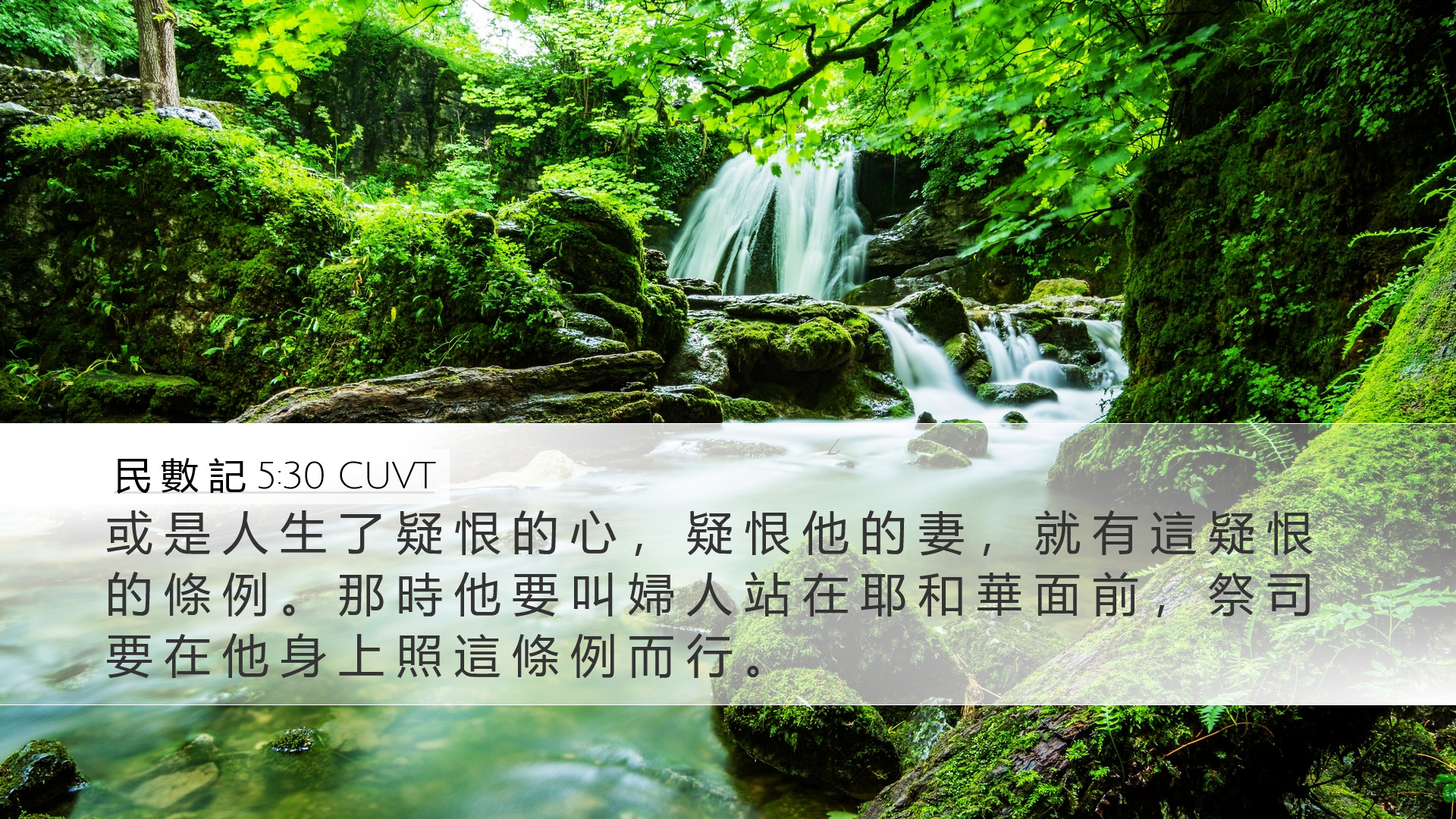 民 數 記 5:30 CUVT Desktop Wallpaper - 或 是 人 生 了 疑 恨 的 心 , 疑 恨