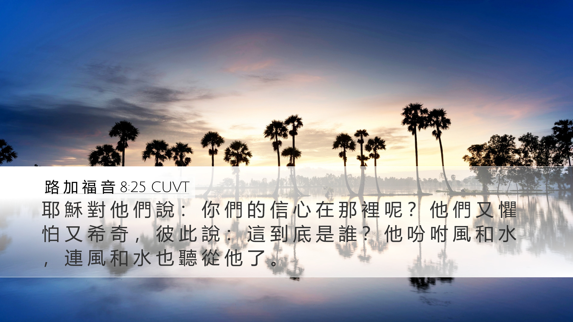 路 加 福 音 8:25 CUVT Desktop Wallpaper - 耶 穌 對 他 們 說 : 你 們 的 信 心