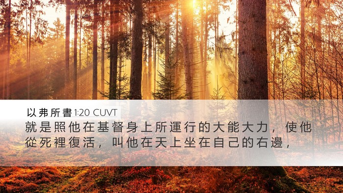 以 弗 所 書 1:20 CUVT Bible Verse Image