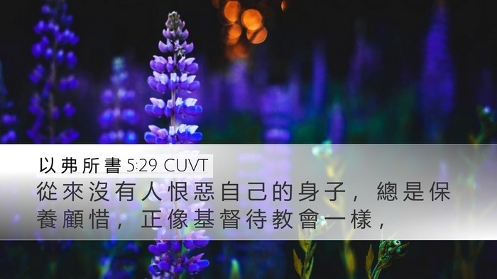 以 弗 所 書 5:29 CUVT Bible Verse Image