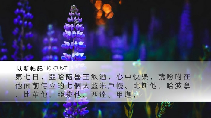 以 斯 帖 記 1:10 CUVT Bible Verse Image
