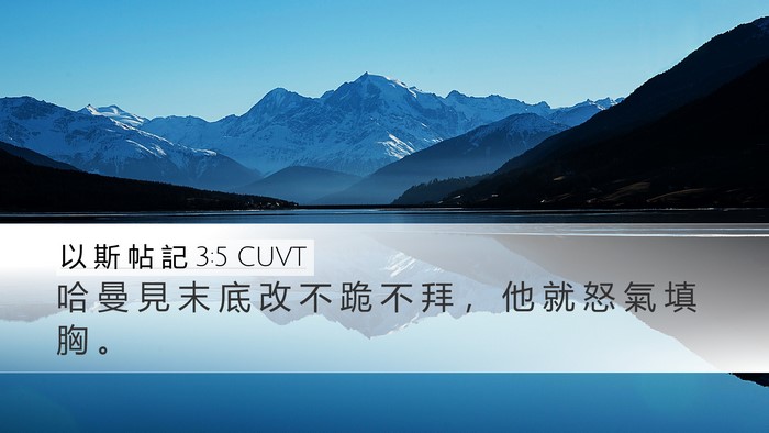 以 斯 帖 記 3:5 CUVT Bible Verse Image