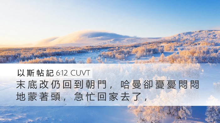 以 斯 帖 記 6:12 CUVT Bible Verse Image