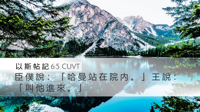 以 斯 帖 記 6:5 CUVT Desktop Wallpaper - 臣 僕 說 ： 「 哈 曼 站 在 院 內 。 - Desktop Bible Verse Wallpaper