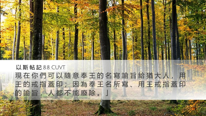 以 斯 帖 記 8:8 CUVT Bible Verse Image