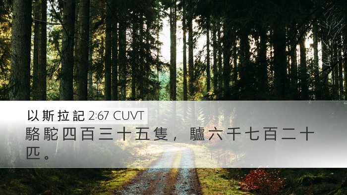以 斯 拉 記 2:67 CUVT Desktop Wallpaper - 駱 駝 四 百 三 十 五 隻 ， 驢 六 千 - Desktop Bible Verse Wallpaper
