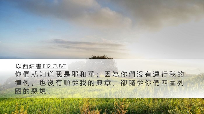 以 西 結 書 11:12 CUVT Bible Verse Image