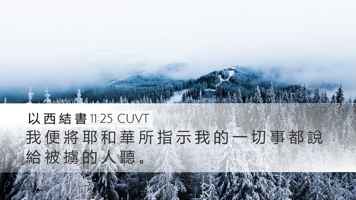 以 西 結 書 11:25 CUVT Bible Verse Image
