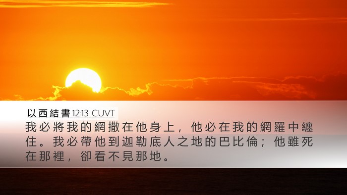 以 西 結 書 12:13 CUVT Bible Verse Image