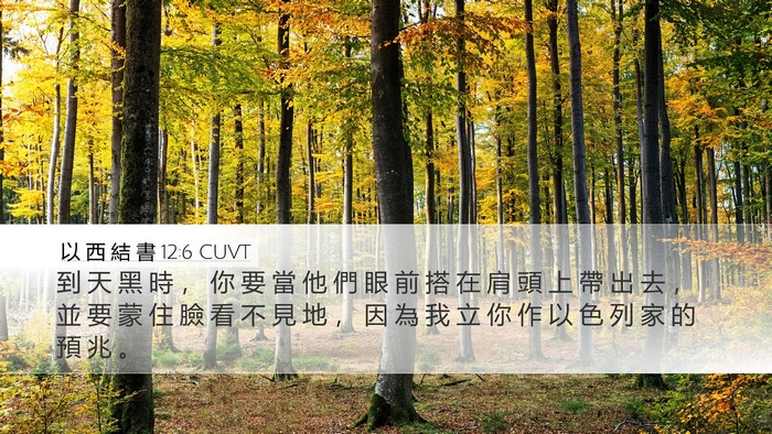 以 西 結 書 12:6 CUVT Bible Verse Image