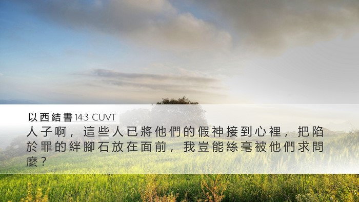 以 西 結 書 14:3 CUVT Bible Verse Image